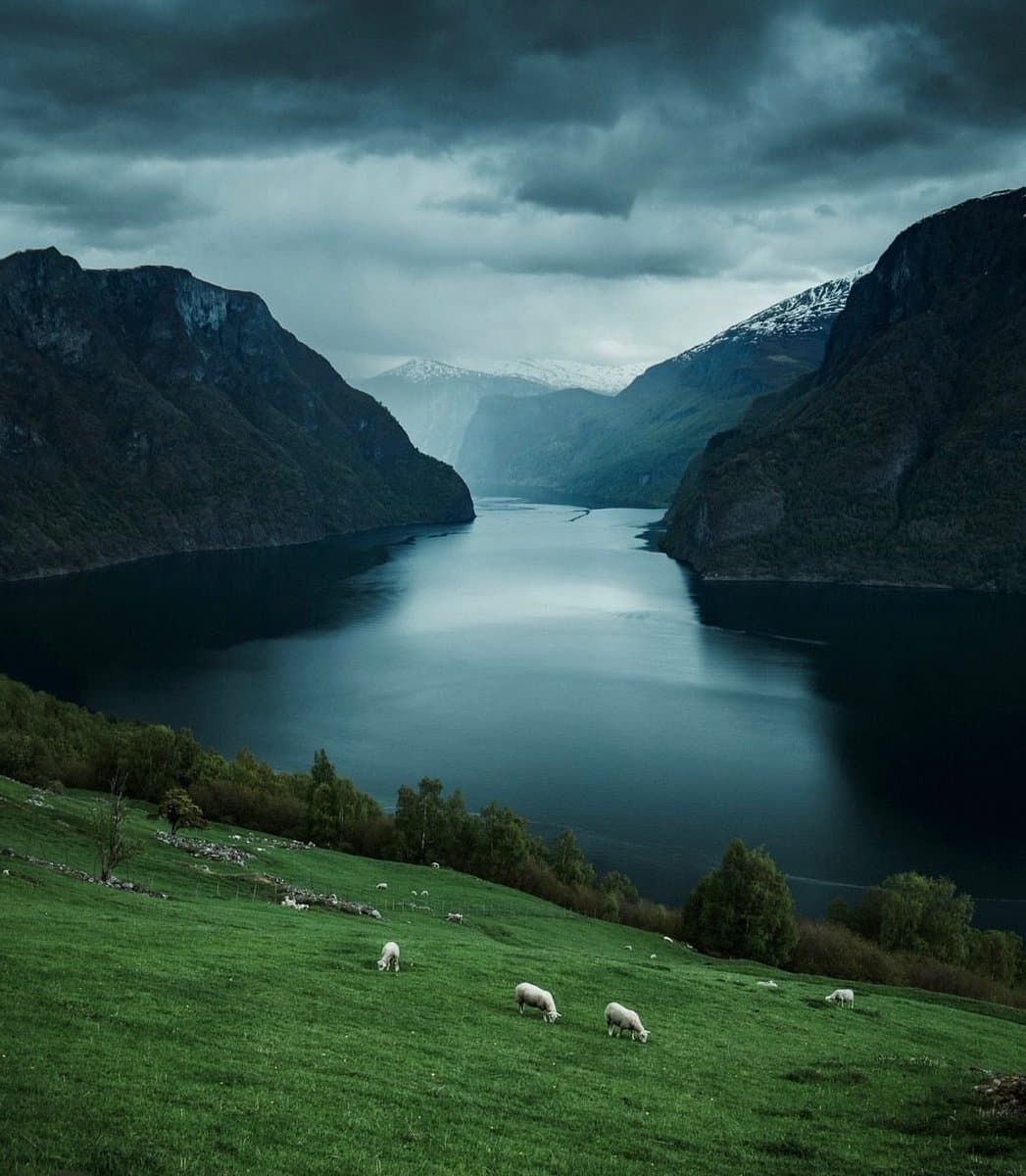 A green pasture above a misty fjord.