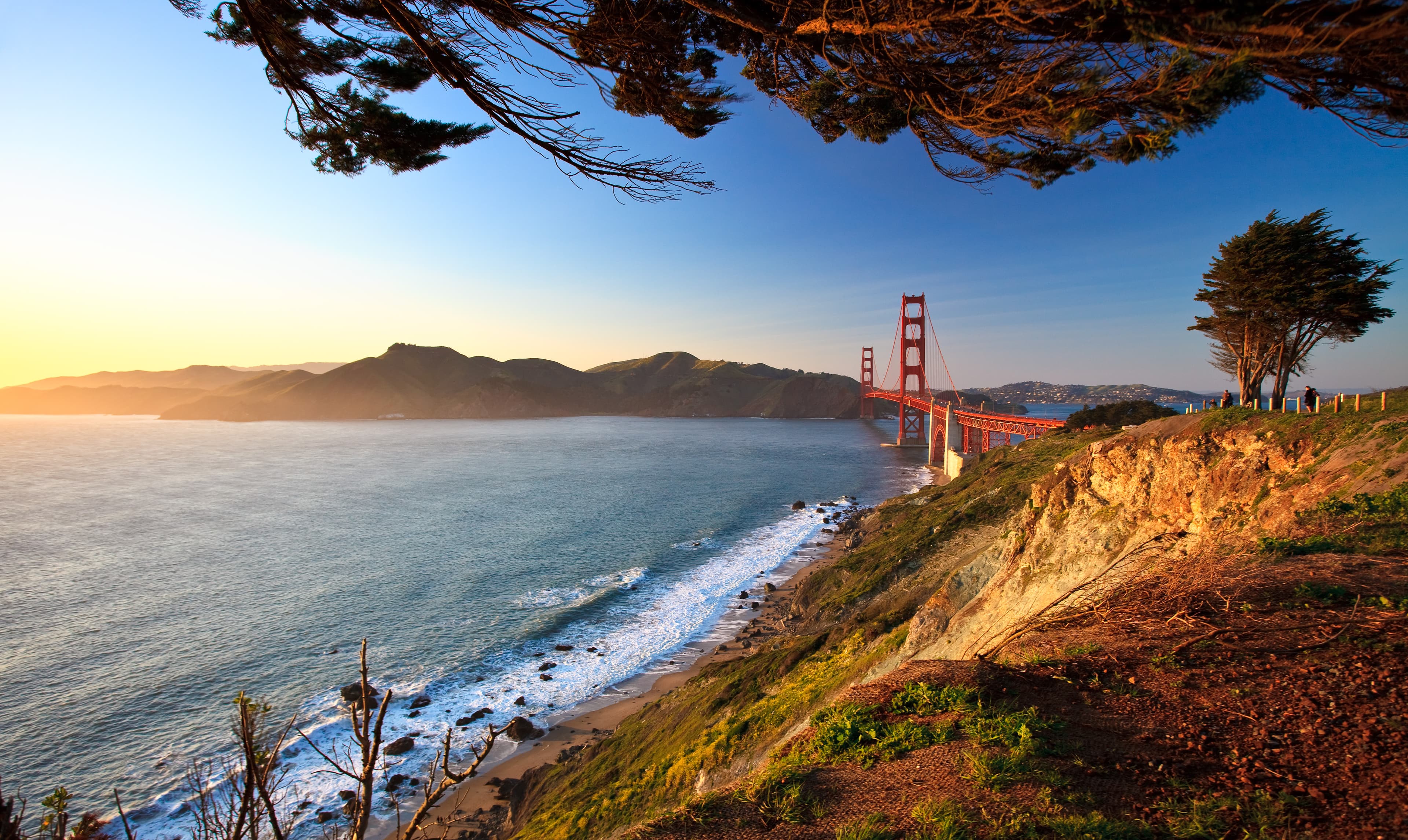 The Golden Gate Bridge seen from a sunlit coastal overlook.