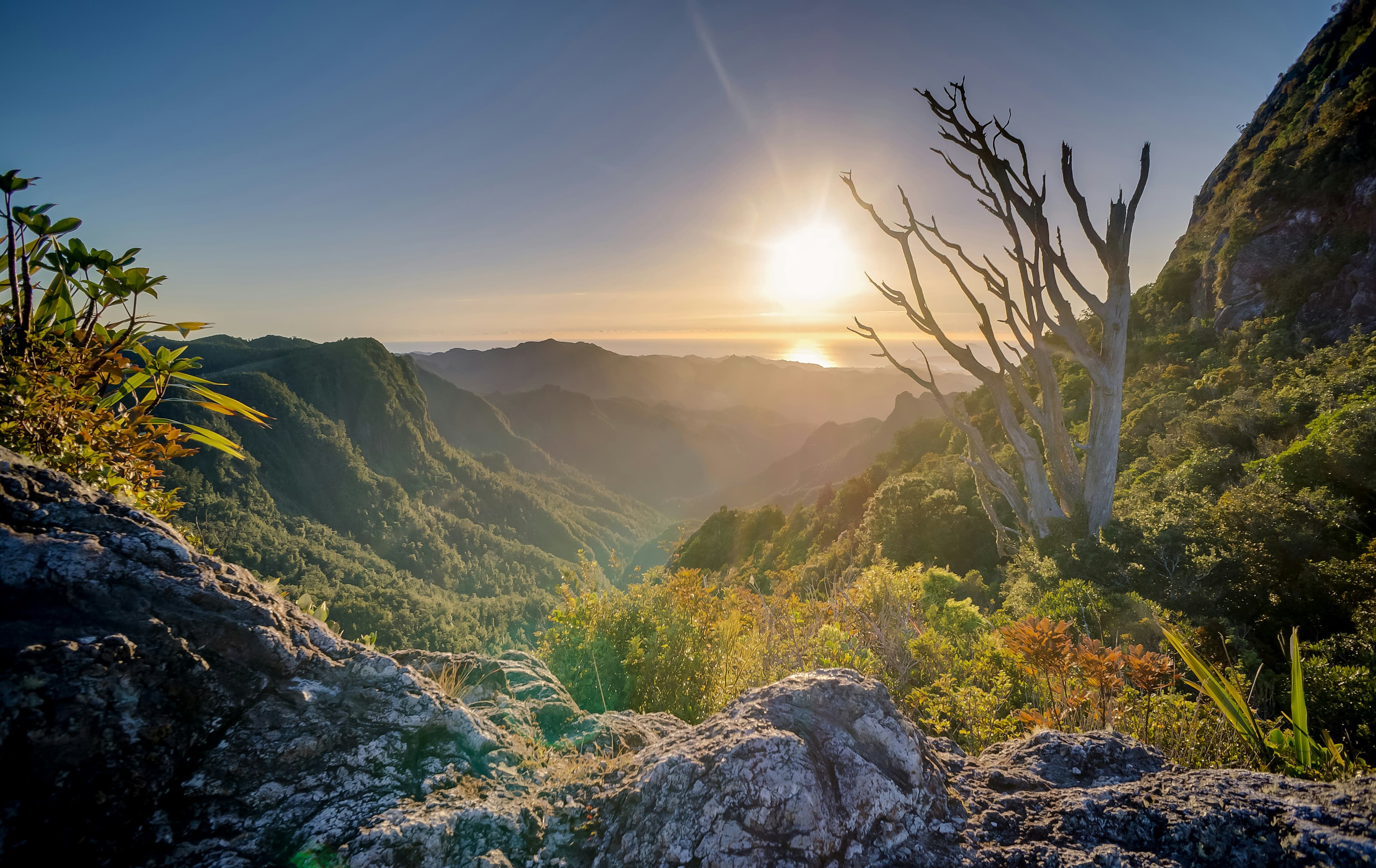 A bright sunrise over layered green mountains.